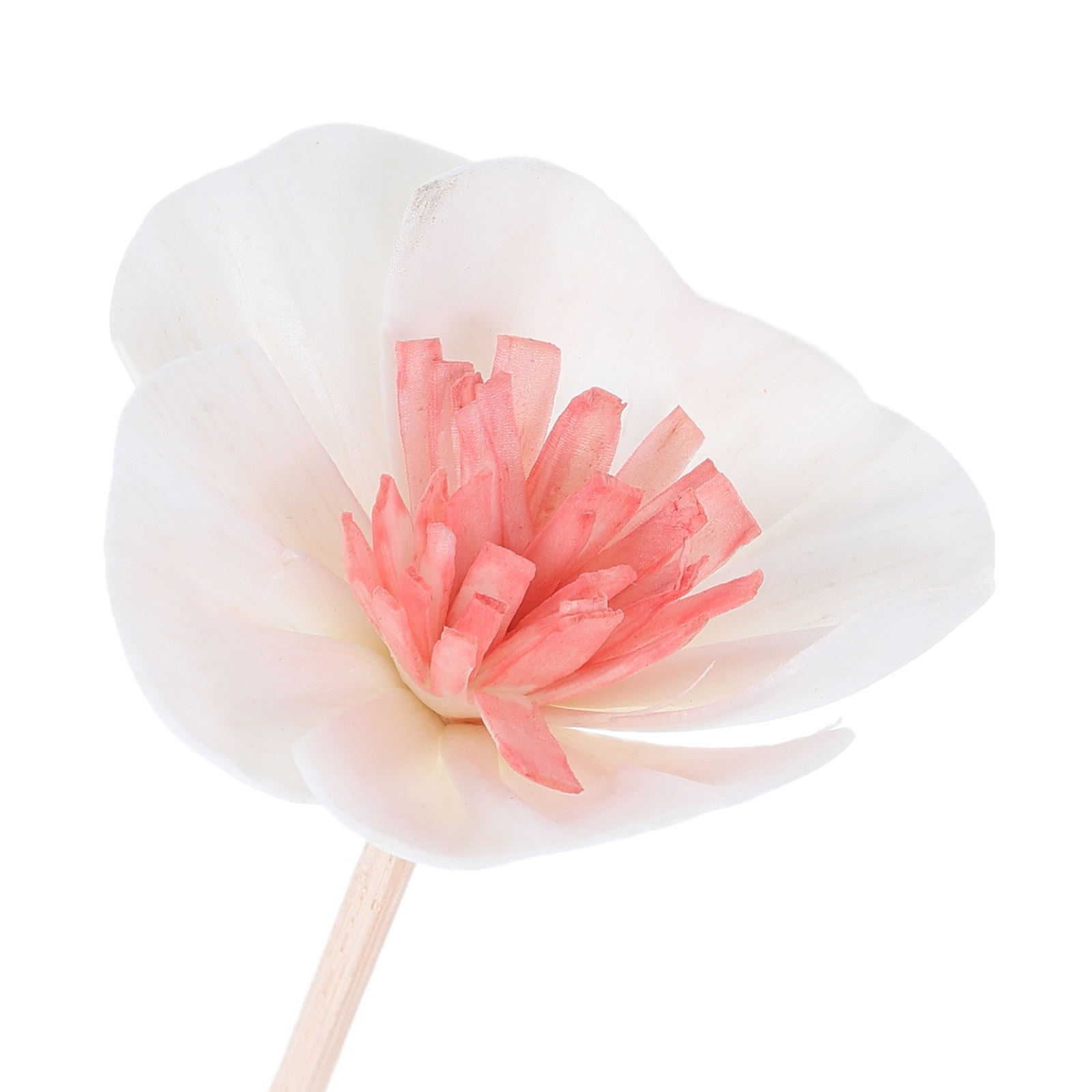 10本入り エッセンシャルオイルディフューザースティック ブ - Home Fragrance Oil のレビューと価格